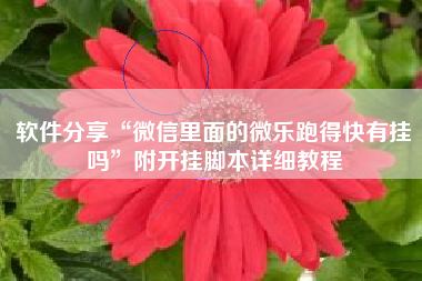 软件分享“微信里面的微乐跑得快有挂吗”附开挂脚本详细教程