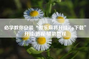 必学教你安装“微乐麻将开挂app下载”开挂(透视)辅助教程