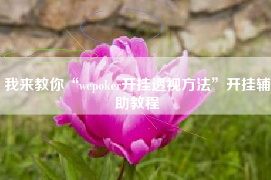我来教你“wepoker开挂透视方法	”开挂辅助教程