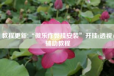 教程更新!“微乐作弊挂安装”开挂(透视)辅助教程