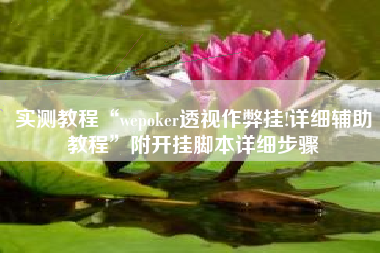 实测教程“wepoker透视作弊挂!详细辅助教程”附开挂脚本详细步骤