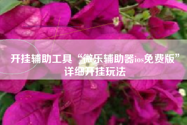 开挂辅助工具“微乐辅助器ios免费版”详细开挂玩法