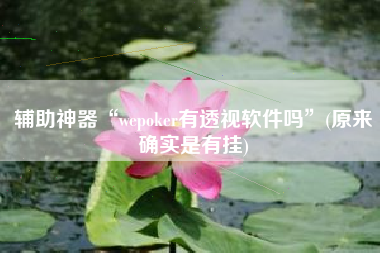 辅助神器“wepoker有透视软件吗	”(原来确实是有挂)