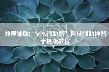 教程辅助!“WPK辅助器”科技辅助神器手机版教程