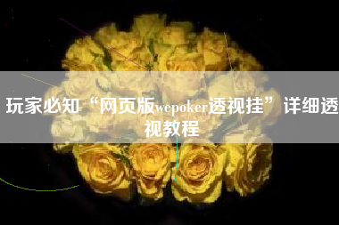 玩家必知“网页版wepoker透视挂	”详细透视教程