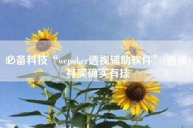 必备科技“wepoker透视辅助软件”(透视)其实确实有挂