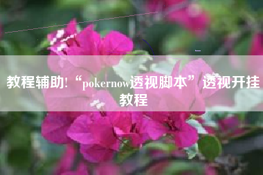 教程辅助!“pokernow透视脚本”透视开挂教程