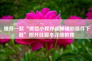 推荐一款“微信小程序雀神辅助插件下载	”附开挂脚本详细教程