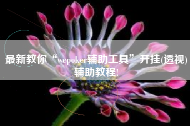 最新教你“wepoker辅助工具	”开挂(透视)辅助教程!