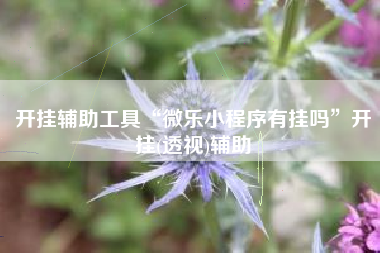 开挂辅助工具“微乐小程序有挂吗”开挂(透视)辅助