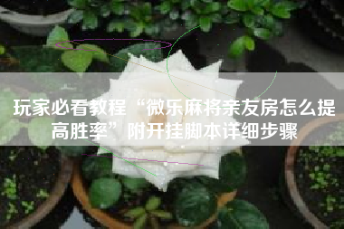 玩家必看教程“微乐麻将亲友房怎么提高胜率	”附开挂脚本详细步骤