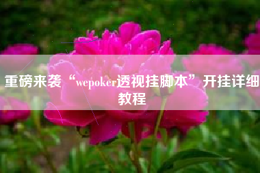 重磅来袭“wepoker透视挂脚本”开挂详细教程
