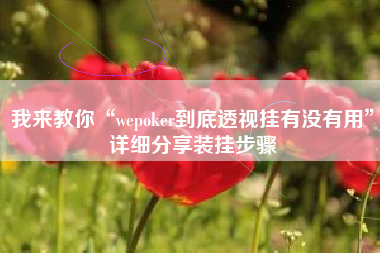 我来教你“wepoker到底透视挂有没有用”详细分享装挂步骤