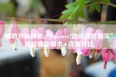 辅助开挂神器“Pokerrrr2透视插件购买”开挂辅助脚本+详细开挂