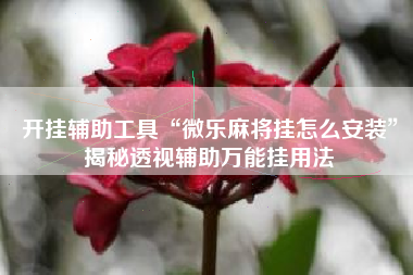 开挂辅助工具“微乐麻将挂怎么安装”揭秘透视辅助万能挂用法