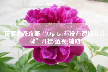 玩家必备攻略“AApoker有没有透视公共牌	”开挂(透视)辅助
