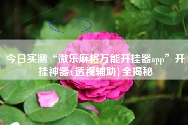 今日实测“微乐麻将万能开挂器app”开挂神器{透视辅助}全揭秘