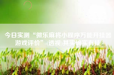 今日实测“微乐麻将小程序万能开挂器游戏评价	”(透视)其实确实有挂