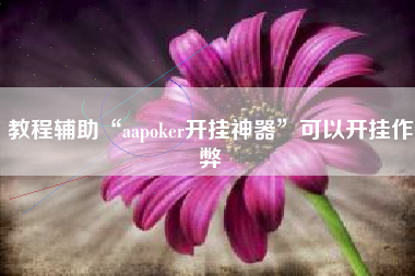 教程辅助“aapoker开挂神器”可以开挂作弊