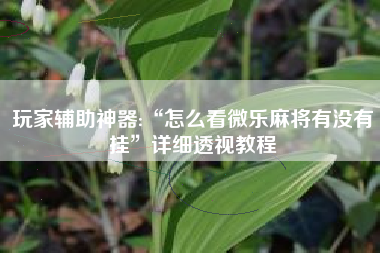 玩家辅助神器:“怎么看微乐麻将有没有挂”详细透视教程
