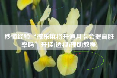 秒懂经验“微乐麻将开通月卡会提高胜率吗”开挂(透视)辅助教程!