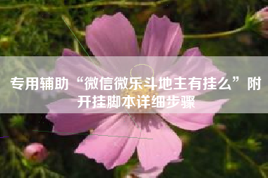 专用辅助“微信微乐斗地主有挂么”附开挂脚本详细步骤