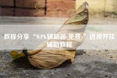 教程分享“WPK辅助器(免费)	”透视开挂辅助教程
