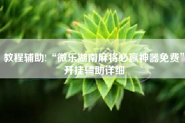 教程辅助!“微乐湖南麻将必赢神器免费”开挂辅助详细