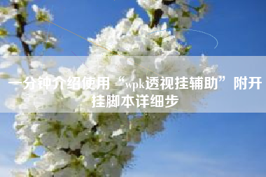 一分钟介绍使用“wpk透视挂辅助”附开挂脚本详细步