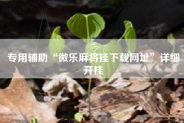 专用辅助“微乐麻将挂下载网址	”详细开挂