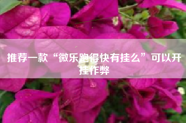 推荐一款“微乐跑得快有挂么”可以开挂作弊