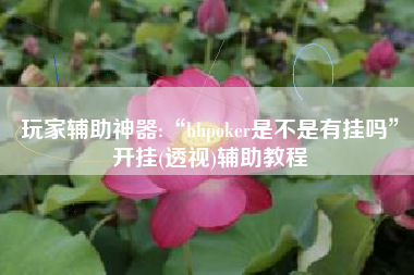 玩家辅助神器:“hhpoker是不是有挂吗	”开挂(透视)辅助教程