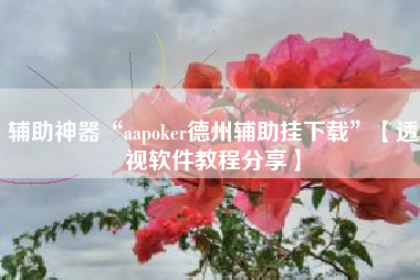 辅助神器“aapoker德州辅助挂下载”【透视软件教程分享】
