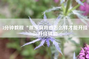 3分钟教程“微乐麻将要怎么样才能开挂”开挂辅助