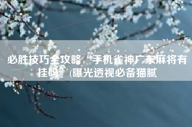 必胜技巧全攻略“手机雀神广东麻将有挂吗	”(曝光透视必备猫腻