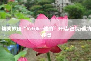 辅助教程“WePOKer辅助	”开挂(透视)辅助神器