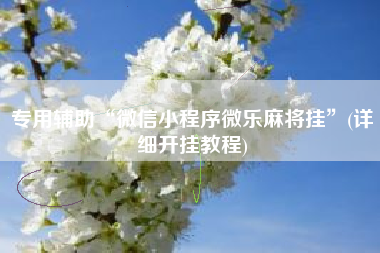 专用辅助“微信小程序微乐麻将挂”(详细开挂教程)