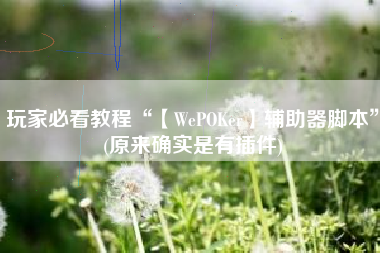 玩家必看教程“【WePOKer】辅助器脚本”(原来确实是有插件)