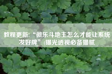 教程更新!“微乐斗地主怎么才能让系统发好牌”(曝光透视必备猫腻