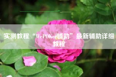实测教程“WePOKer辅助	”最新辅助详细教程