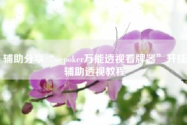 辅助分享“wepoker万能透视看牌器”开挂辅助透视教程