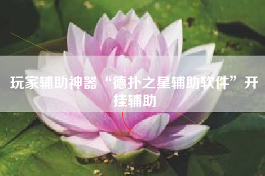 玩家辅助神器“德扑之星辅助软件	”开挂辅助