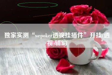 独家实测“wepoker透视挂插件”开挂(透视)辅助