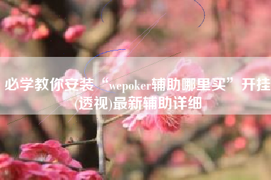 必学教你安装“wepoker辅助哪里买	”开挂(透视)最新辅助详细