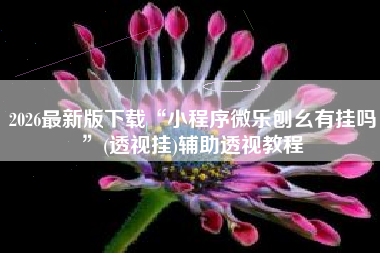 2026最新版下载“小程序微乐刨幺有挂吗	”(透视挂)辅助透视教程