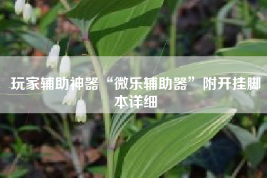 玩家辅助神器“微乐辅助器”附开挂脚本详细