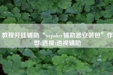 教程开挂辅助“wepoker辅助器安装包”作弊(透视)透视辅助