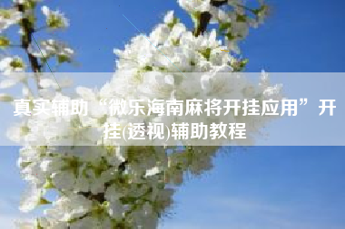 真实辅助“微乐海南麻将开挂应用	”开挂(透视)辅助教程