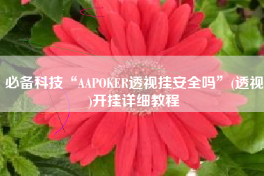 必备科技“AAPOKER透视挂安全吗”(透视)开挂详细教程