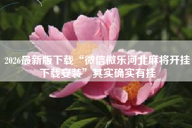 2026最新版下载“微信微乐河北麻将开挂下载安装	”其实确实有挂